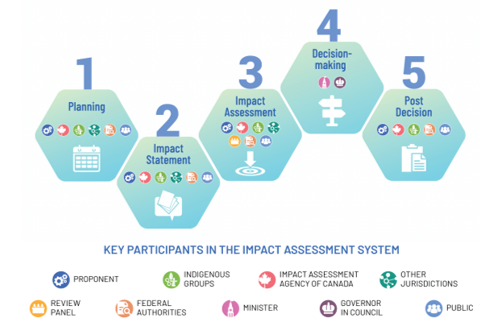 image with hexagons outlining the 5 phases of an Impact Assessment