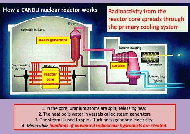graphic of CANDU reactor