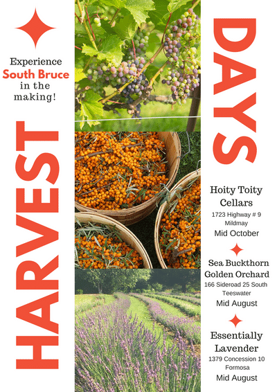 Harvest Days Poster